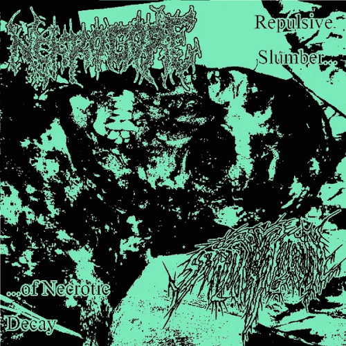 Nekrogore : Repulsive Slumber of Necrotic Decay